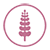 Lupine